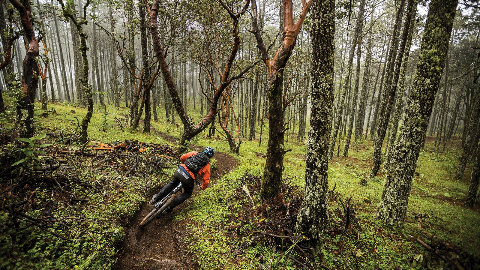 Southern Mexico's Soul-Filled Singletrack Ascendancy | Los Senderos De ...