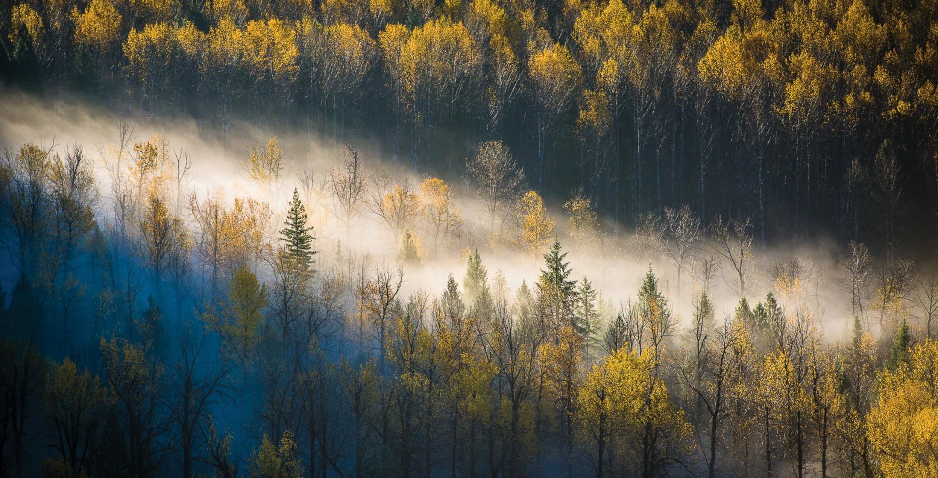 The beautiful scenery of Pemberton, BC is always on display, be it Mt. Currie in the Summer or the Aspen trees in the fall. Photo: Blake Jorgenson