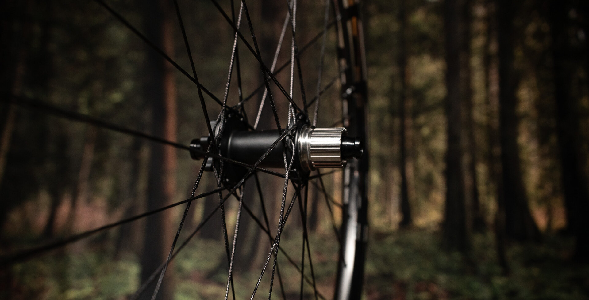 The most striking feature of the Ethos is probably its use of Berd spokes.