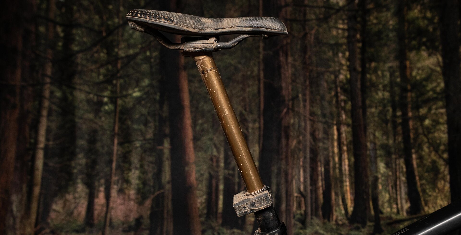 The Transfer has already born the brunt of a muddy spring.