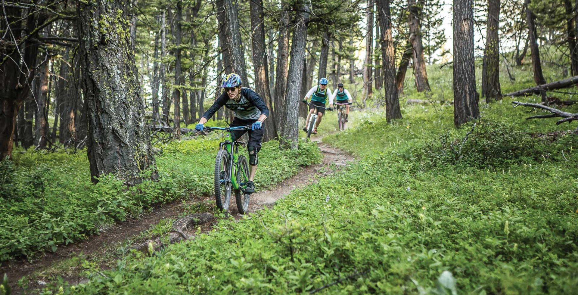 After conquering the climb on the Mount helena Ridge Trail, Keenan Cox, Dan Barry and Brian Elliott drop into a mellow flowy descent through the pines. Keep your eyes up, though; a few steep and loose sections await farther down. CANON 1/1000 sec, f/3.2, ISO 1600