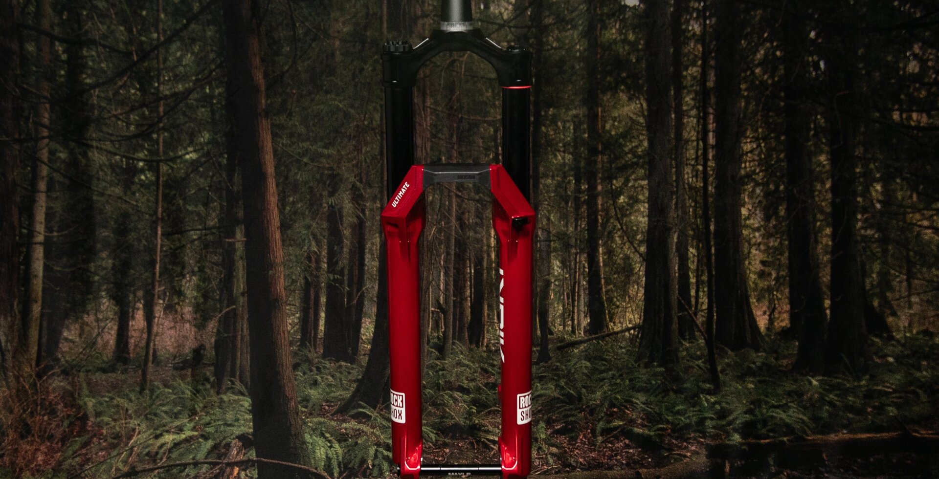 It's still available in red, but pretty much everything else on the new Lyrik has been updated.