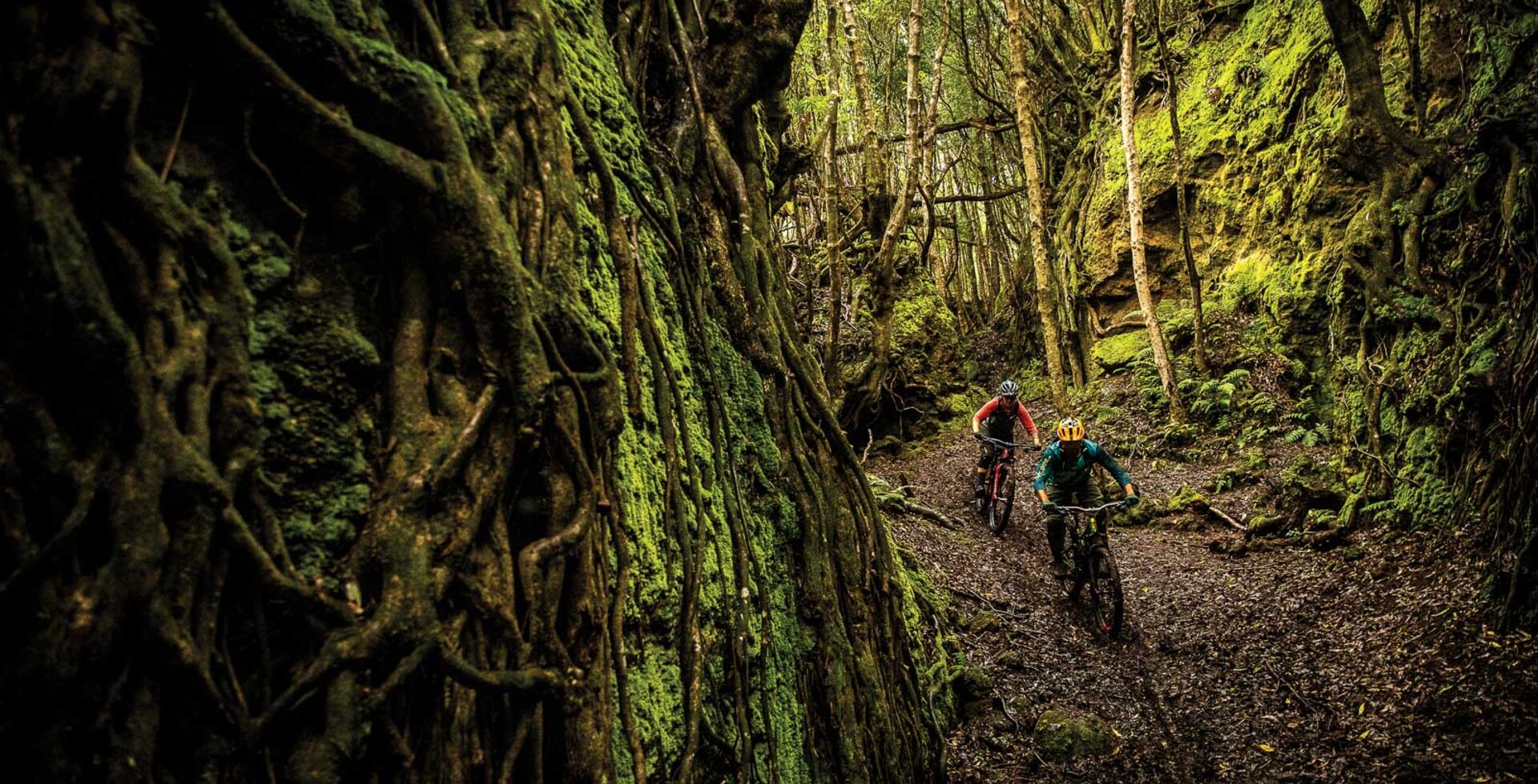 Steep, deep and untracked—the fertile volcanic soil of the Azores also happens to make for some ultra-loamy trail conditions. Guide and purveyor of the local bike scene, Carlos Dos Santos, leads the author through a chute while touring the trail offerings for his planned Trans-Atlantis enduro race.