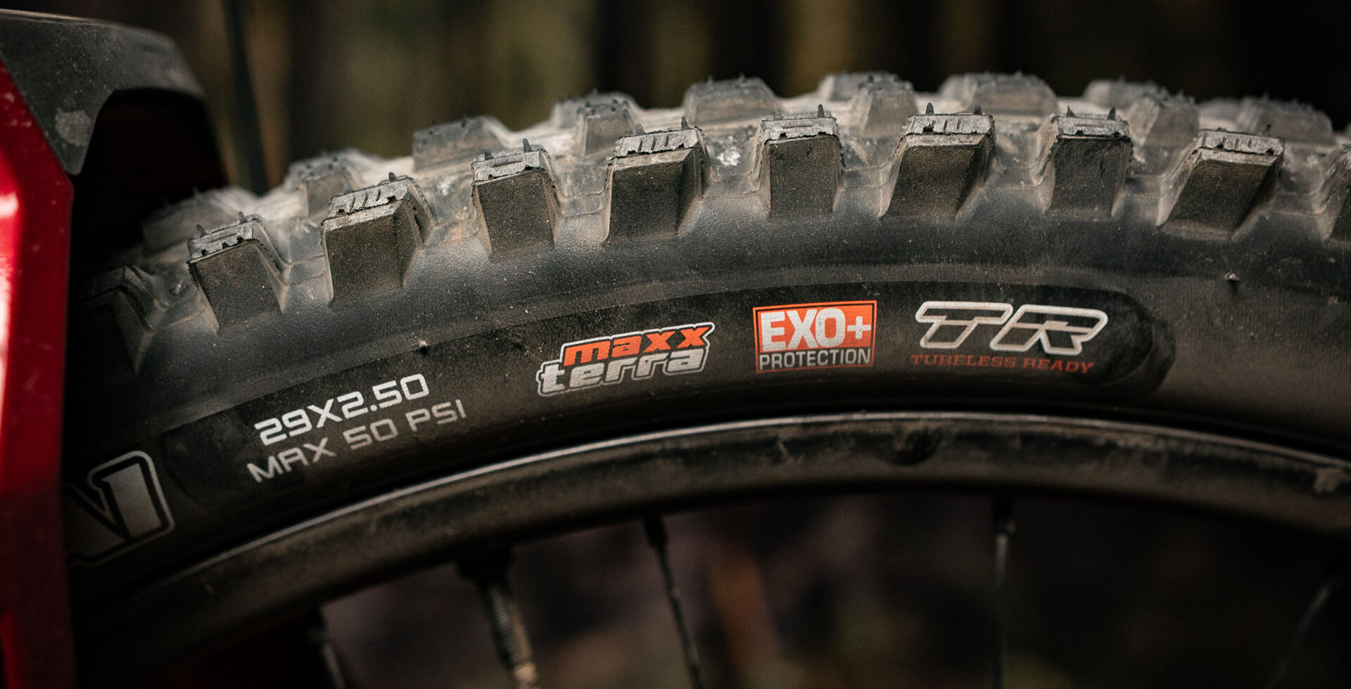 The sidewall will look familiar to Maxxis aficcianados.