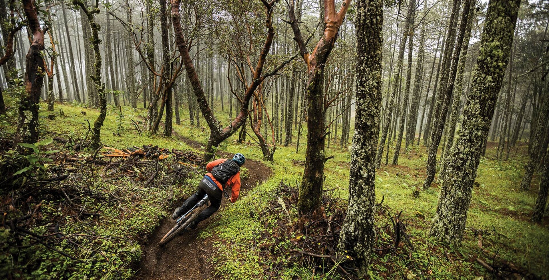 High in the cloud forest of the Sierra Juárez, Luis “Huicho” Aguilar rips down a trail named Jabalí (Wild Boar)—one of many divine ribbons of singletrack in the sprawling network of Santa Catarina Ixtepeji. These paths have long been a lifeline for the region’s inhabitants, who use them to harvest resin from the trees and collect firewood (such as that piled alongside the trail).