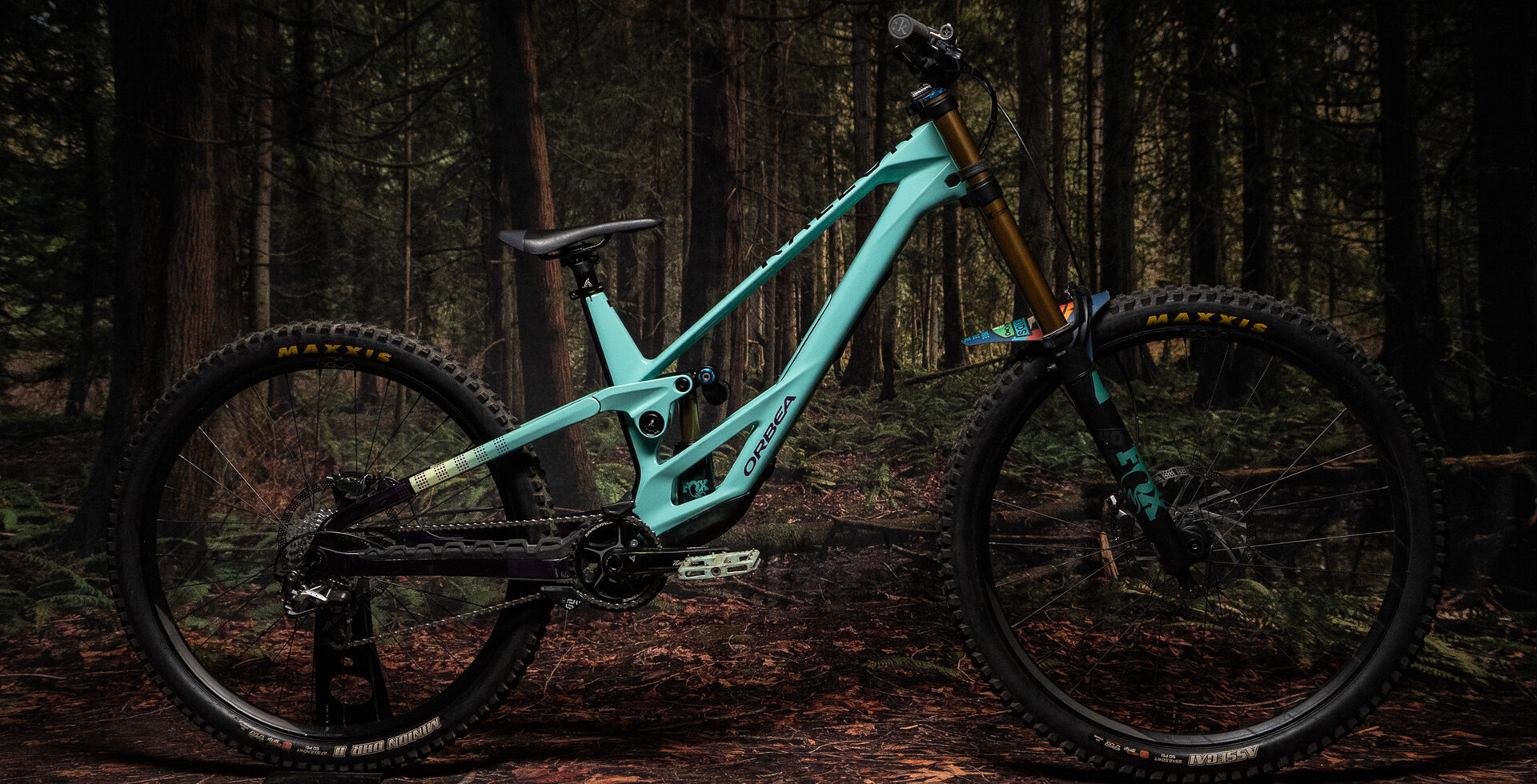 The Rallon DH is one of the best looking bikes we've seen in a minute.