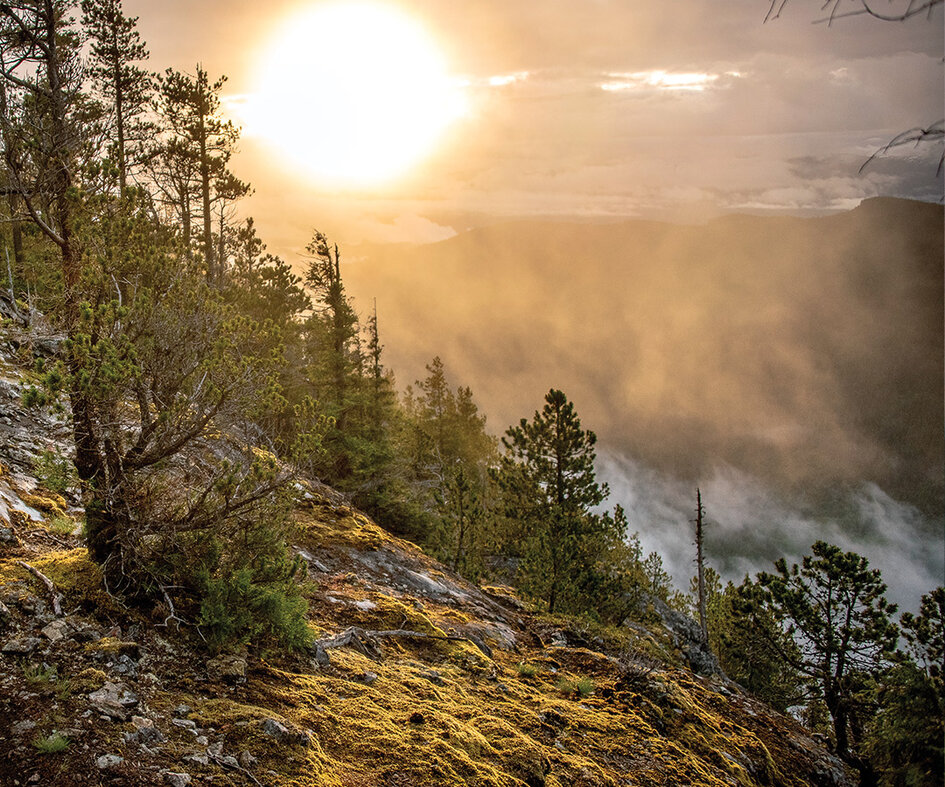 Freehub Mountain Bike Magazine Issue 16.4