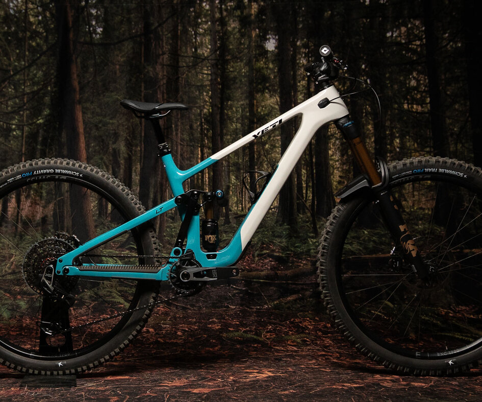 I'm quite partial to this bike's lines.