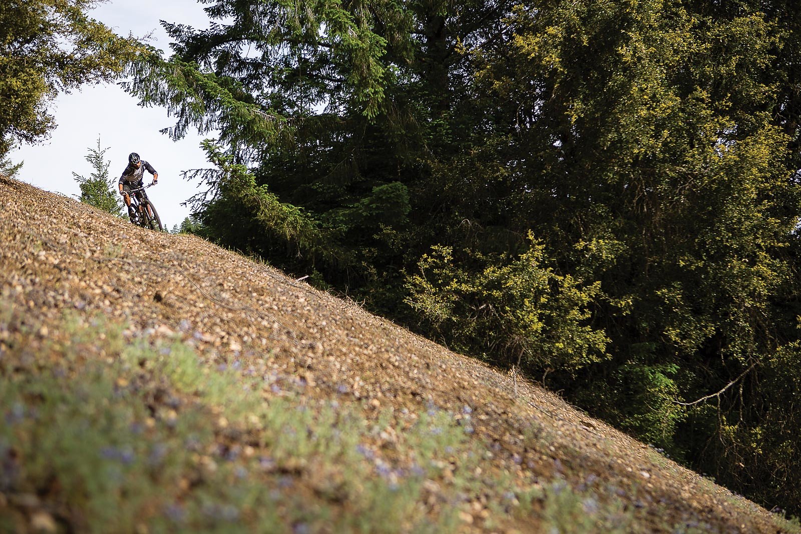 Trail Hunting in Humboldt County Searching for Bigfoot Freehub