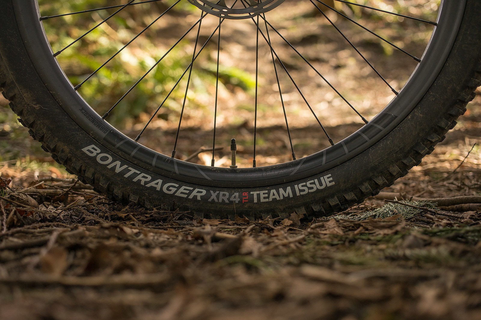 Bontrager best sale tubeless tires