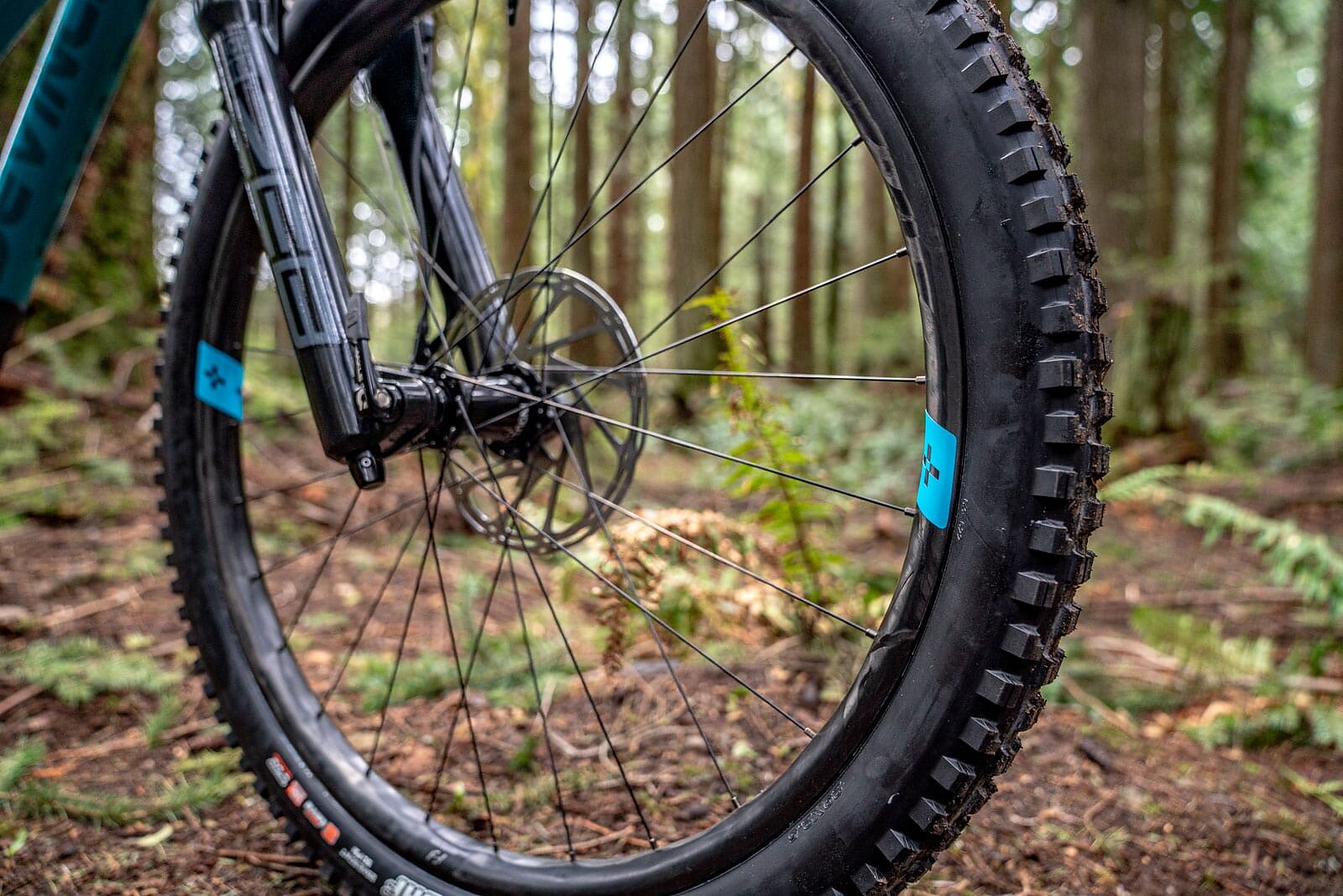 First Impressions: All-New Schwalbe Nobby Nic Tire - BikeMag