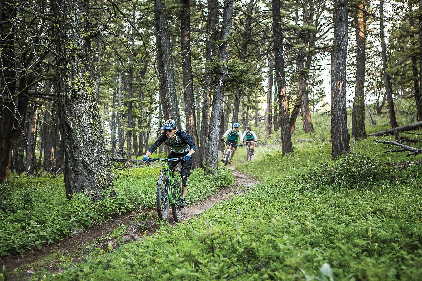 The pines best sale mountain bike trails