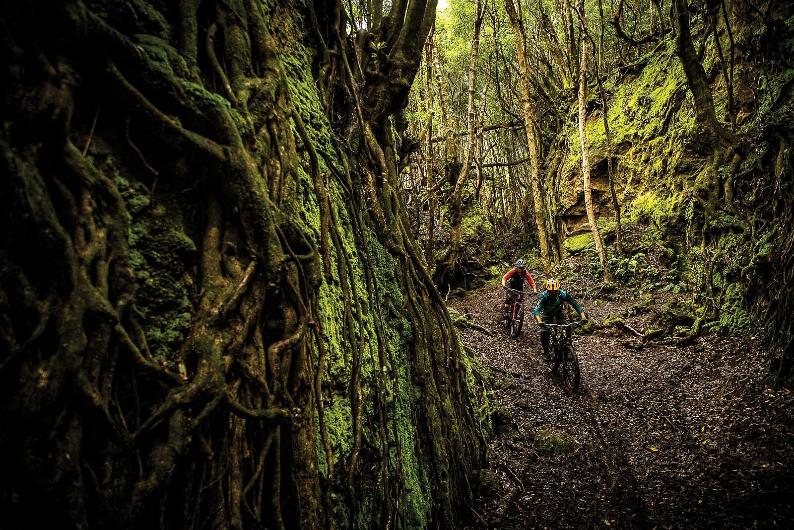 Treasures of Atlantis // Exploring the Volcanic Riches of the Azores  Archipelago / Freehub Magazine