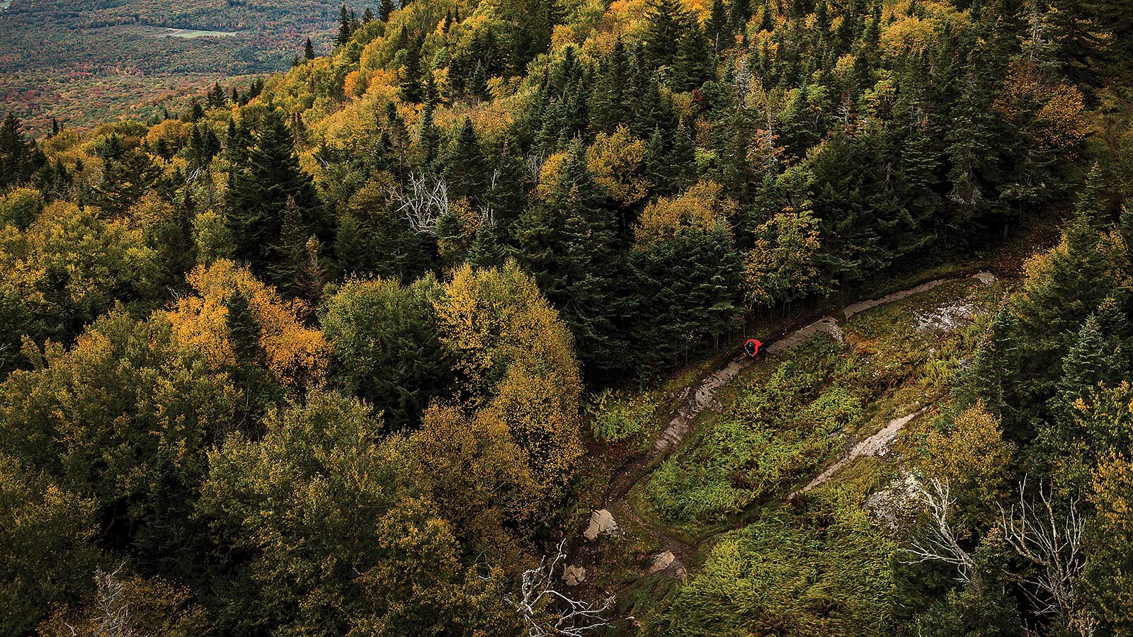 Nothing speaks of the traditions of the Maine woods or the mountains of the  Adirondacks