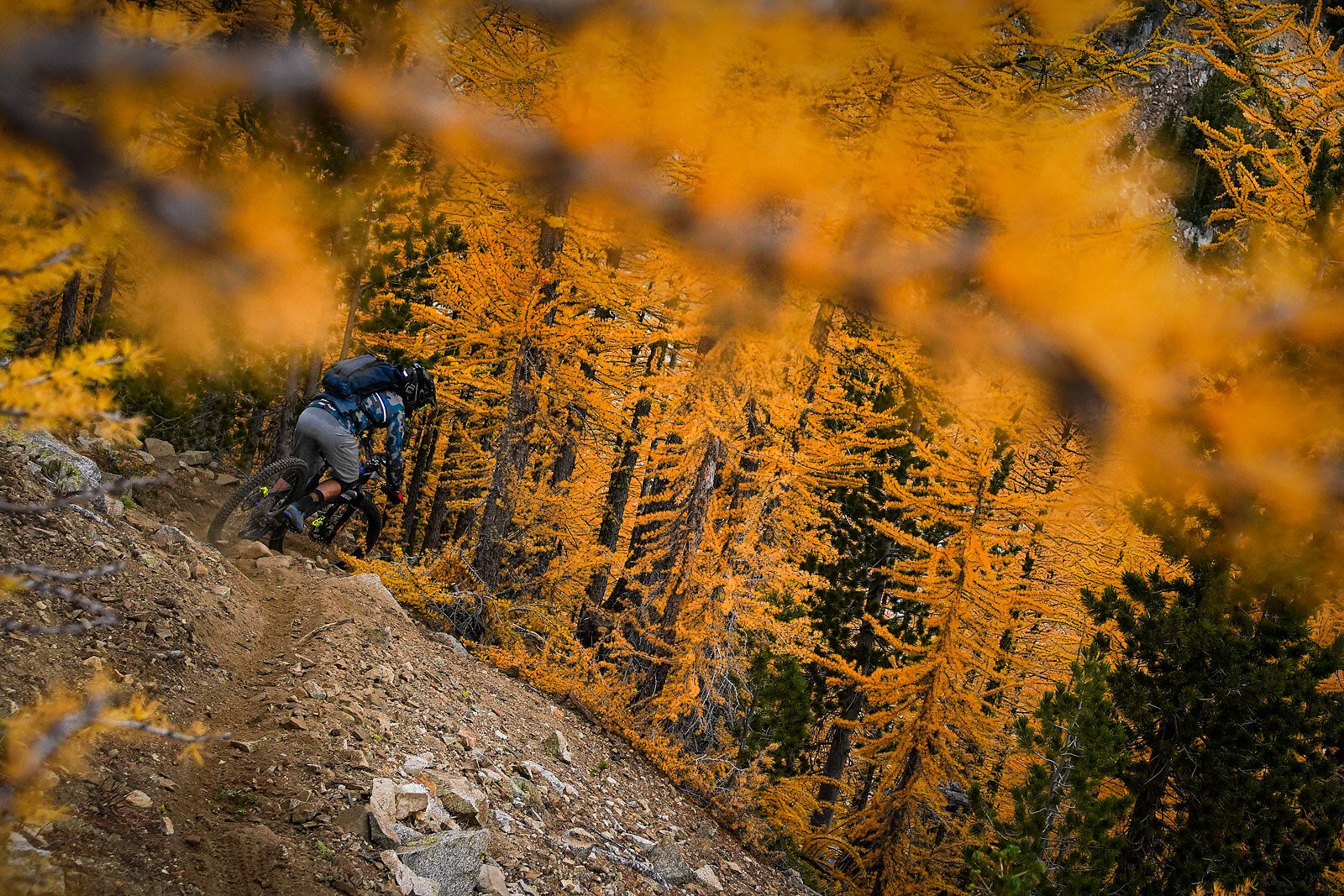 Trans 2024 cascadia enduro