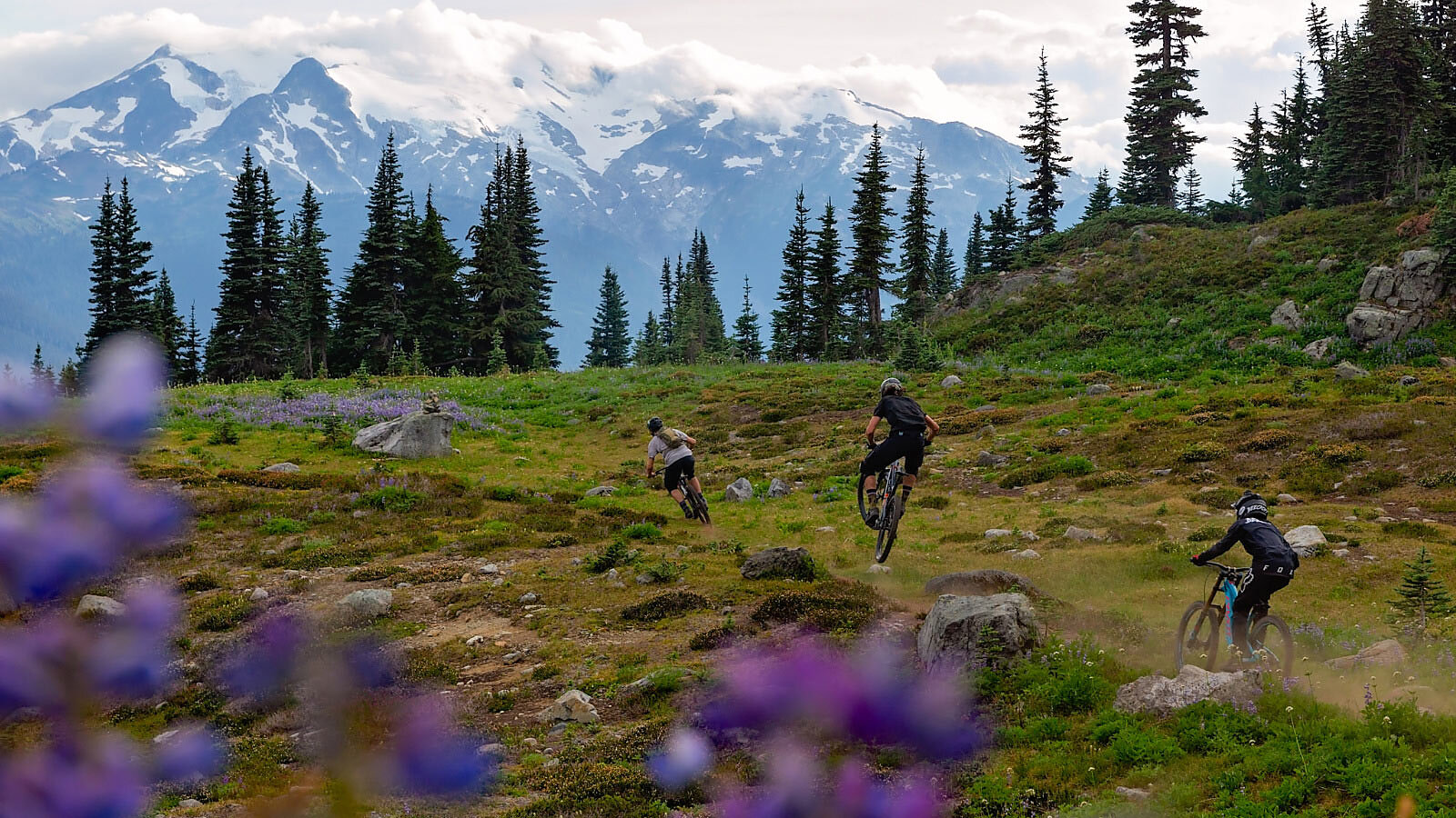 Whistler Guide to Mountain Biking Adventures