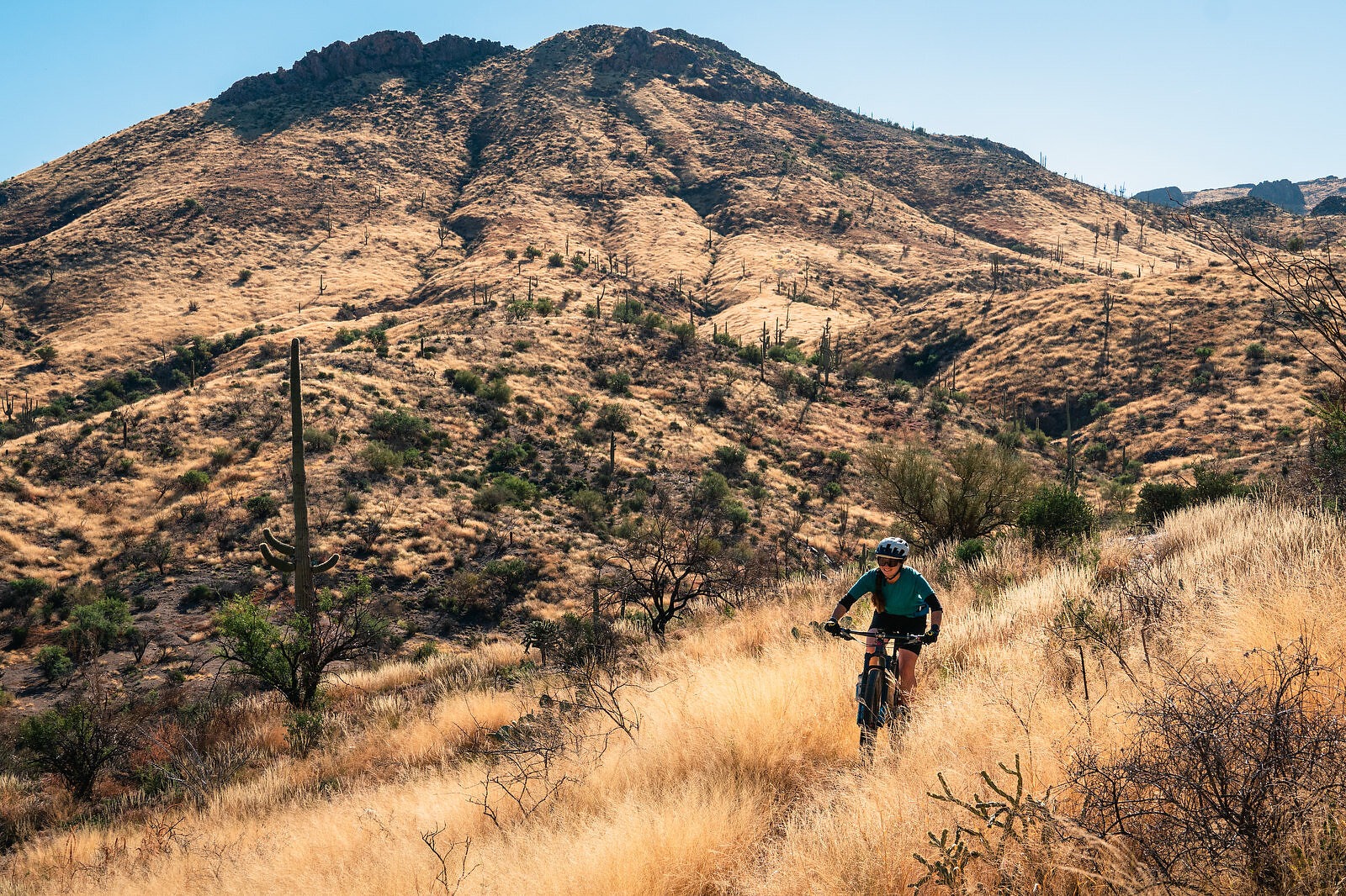 Can the Arizona Trail Withstand Climate Change?, Desert Invasion