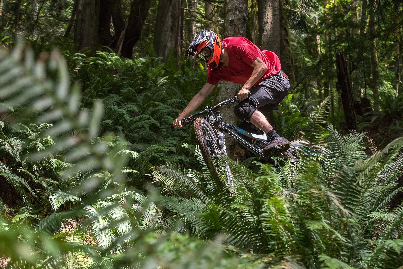 Hit the best Mountain Biking Trails in Bellingham