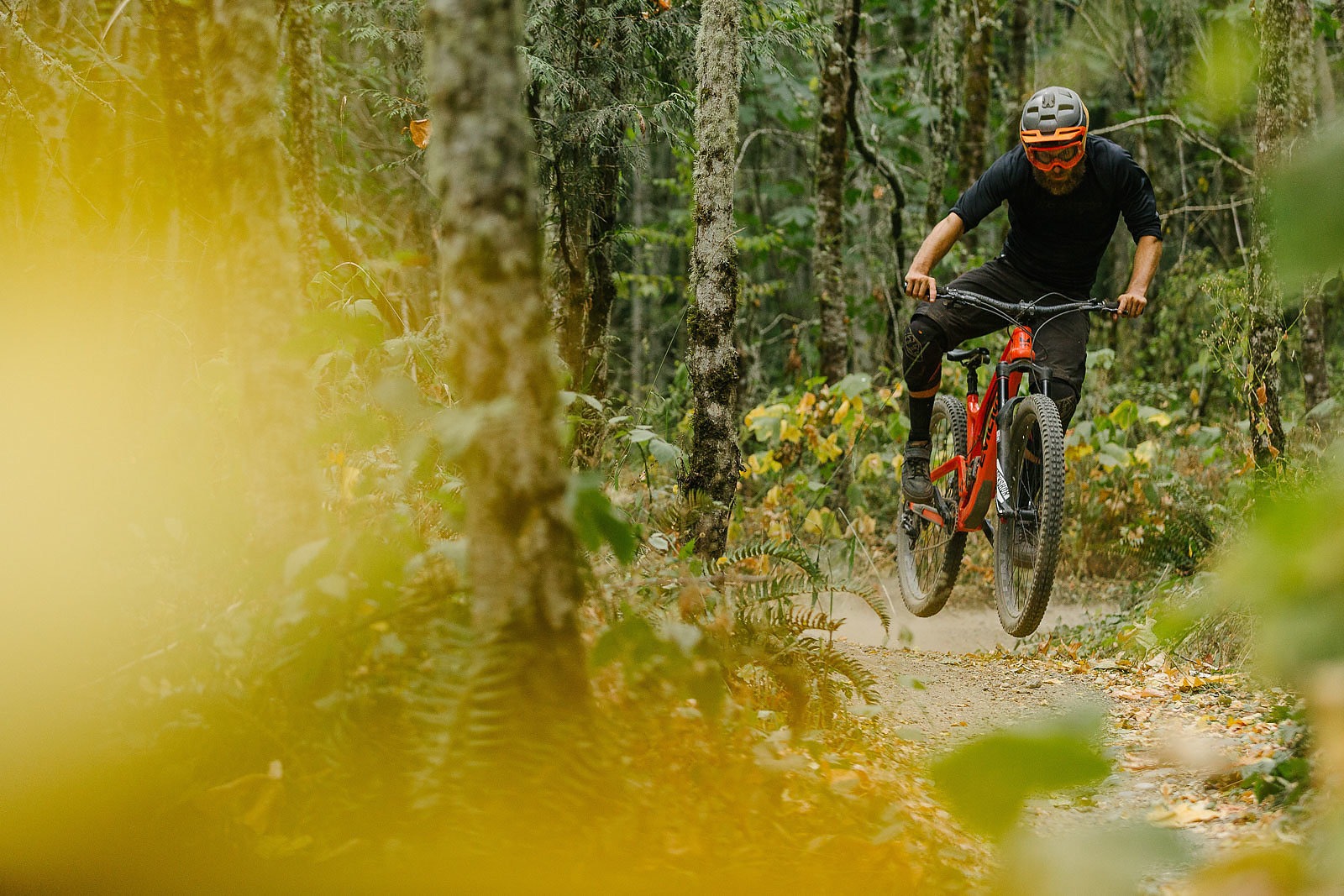 Radical Bike's Mtb bike mountain, Downhill bike, Mtb bike
