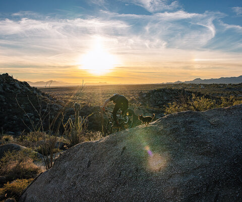 Elliott Milner flies up and over a rock on 50-Year trail with Frankie following close behind. Milner is a master at finding ultra-creative lines through tricky sections of desert singletrack. CANON 1/1600, f/5.6, ISO 400