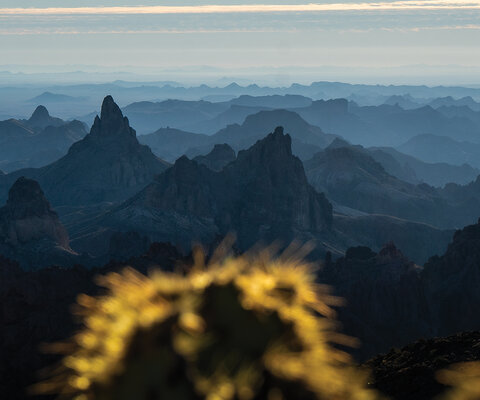 The jagged peaks of the Kofa Mountains stand out among a sea of desert ranges in southwestern Arizona. Here, the landscape is stark and the climate harsh. Photo: Kurt Refsnider | SONY 1/800, f/9, ISO 200