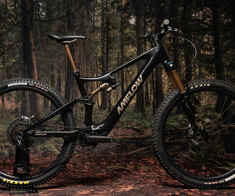 The PL Carbon Pro looks similar to a whole host of Horst-Link bikes.