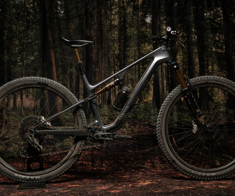This should be a familiar shape for this sort of bike by now.