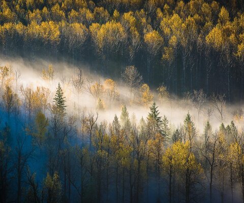 The beautiful scenery of Pemberton, BC is always on display, be it Mt. Currie in the Summer or the Aspen trees in the fall. Photo: Blake Jorgenson
