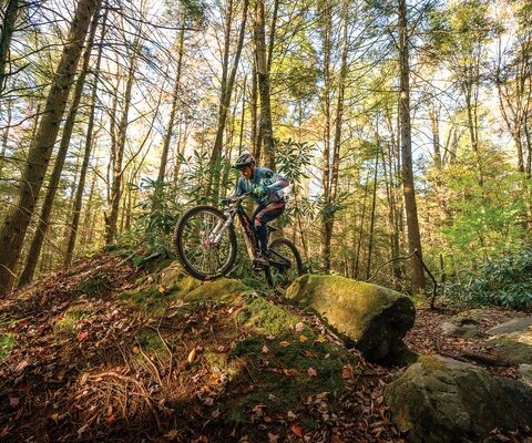 Local rider Jason Cyr scoots up and over one of many alt lines on Yellow Birch, a test-piece trail at Blackwater Falls State Park near Davis. Photo by Dylan Jones | SONY 1/500, F/4, ISO 2500