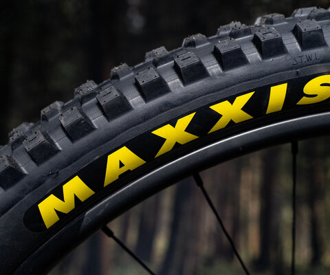 The latest version of the Dissector really comes into its own.