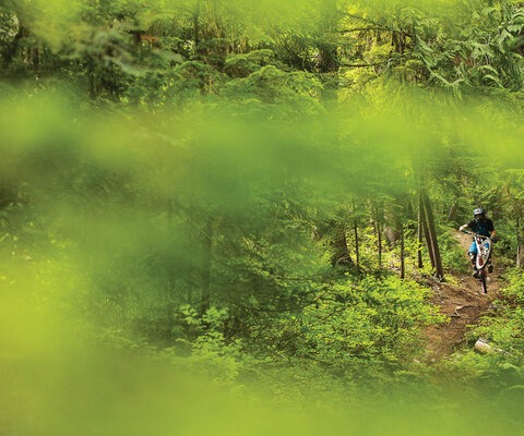 Rapidly becoming one of Nelson’s premier trails, Powerslave is as raw and fast-paced as the Iron Maiden song it was named for. Garett Buehler does the name justice with a rowdy, high-speed wheelie. NIKON, 1/1000 sec, f/2.8, ISO 1000
