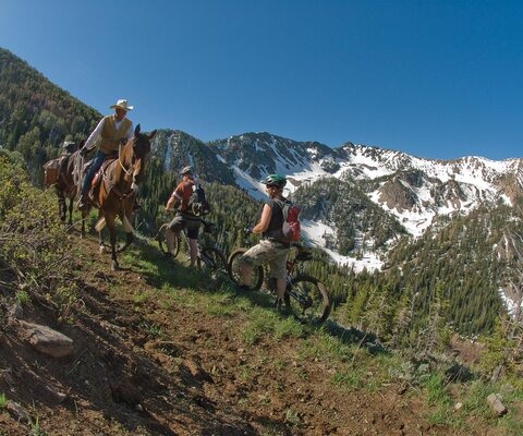 The yearly trail-work weekend at Mile Creek represents an unusual and long-standing partnership between horsepackers and cyclists, one that has created some of the best trails in the state. Clark Kinney hauls tools with packstock, while Tim Hokanson and Corey Biggers pedal (and push) towards snowline during the Summer of 2009.