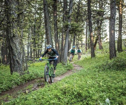 After conquering the climb on the Mount helena Ridge Trail, Keenan Cox, Dan Barry and Brian Elliott drop into a mellow flowy descent through the pines. Keep your eyes up, though; a few steep and loose sections await farther down. CANON 1/1000 sec, f/3.2, ISO 1600