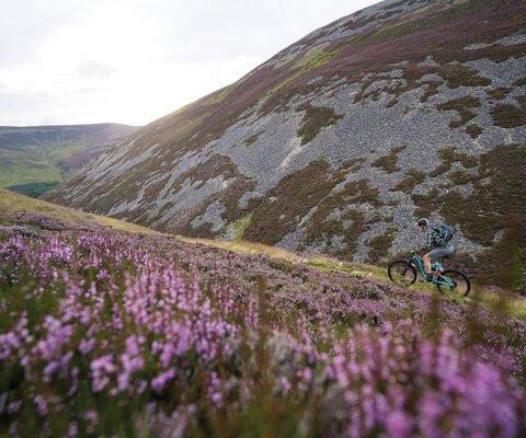Despite their rounded relief, the Central Cairngorm Mountains can be surprisingly treacherous - they're home to the highest points in Scotland, as well as its snowiest and coldest temperatures. But when the light is right and the heather is in bloom, they're absolutely enchanting.