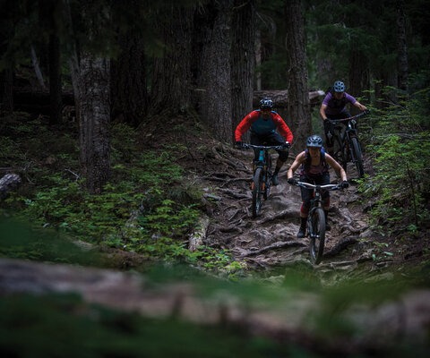 While huge, wet roots and dark woods may not sound like an enjoyable experience, it’s a classic Washington style that most Pacific Northwesterners—homegrown or transplanted—have come to love. Ruby Morrissey, Anthony Boussetta and Blaise Ratcliffe find the many possible lines on the bottom of Kachess. SONY, 1/320 sec, f/2.8, ISO 2500
