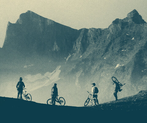 Freehub Presents Viewer's Choice