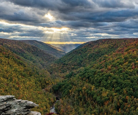 The view down the Blackwater Canyon from the Pottsville sandstone outcrop at Lindy Point is one of West Virginia’s most iconic views—perhaps even the most-photographed spot in the state. One can easily get there with a short cruise down the half-mile Lindy Point Trail. Dylan Jones | SONY 1/60, F/16, ISO 400