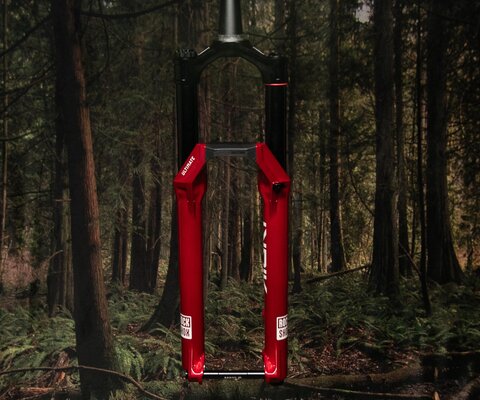 It's still available in red, but pretty much everything else on the new Lyrik has been updated.