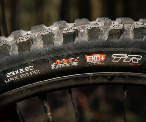 The sidewall will look familiar to Maxxis aficcianados.