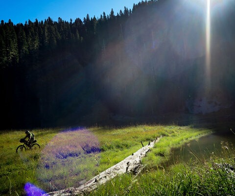 Peter Berridge rides through Badger Lake during a brief sunny weather window on a bikepacking trip through the Gifford Pinchot National Forest.