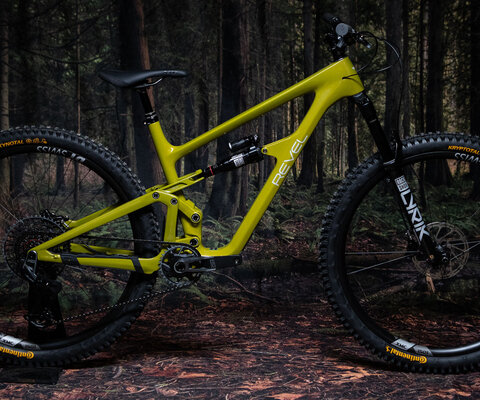 This color pops nicely in the woods.