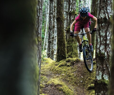 Sometimes it’s hard to tell a deer trail from a bike trail, given the overwhelming blanket of moss that coats Mt Geoffrey. Darcy Turenne finds the fall line on a nameless mid-mountain line.