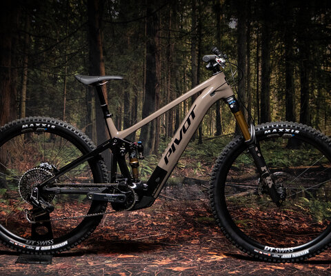 The Shuttle AM shares a common silhouette with the rest of Pivot's e-bikes.