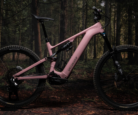The Specialized Levo 4 Alloy, in Satin Dusky Pink