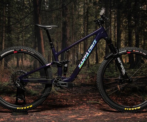 Wait, is that a Santa Cruz?