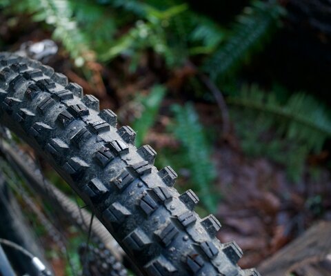 Updated enduro treads and SG2 Puncture Protection on WTB mountain tires.