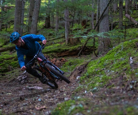 One of the few berms on this natural beauty. Photo: Mark Taylor