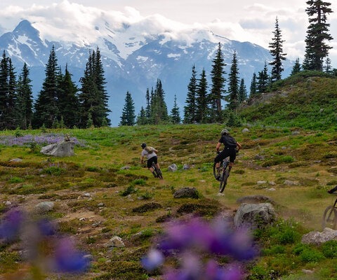 Heli-biking with AlpX Expeditions in the high alpine above Whistler. Photo: Clint Trahan
