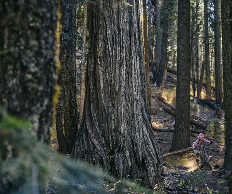 Photo: Ken Etzel