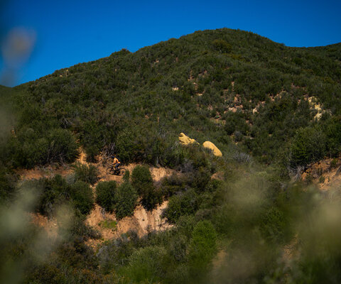 Writer Dillon Osleger worked over the 2025 riding season to uncover an ancient, overgrown trail in California. Photo: Amado Stachenfeld